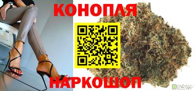 ешки Гатчина
