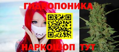 ешки Гатчина